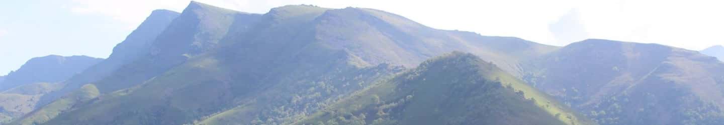 BK - Bidarray banner ambilight